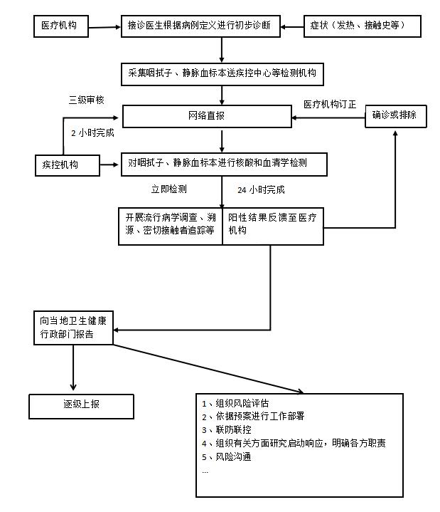 早发现早报告流程图